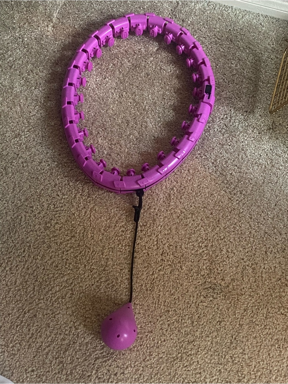 Adjustable Purple Smart Weighted Hula Hoop with Removable Weight
